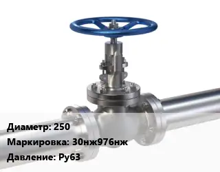 Задвижка нержавеющая 250 30нж976нж Ру63